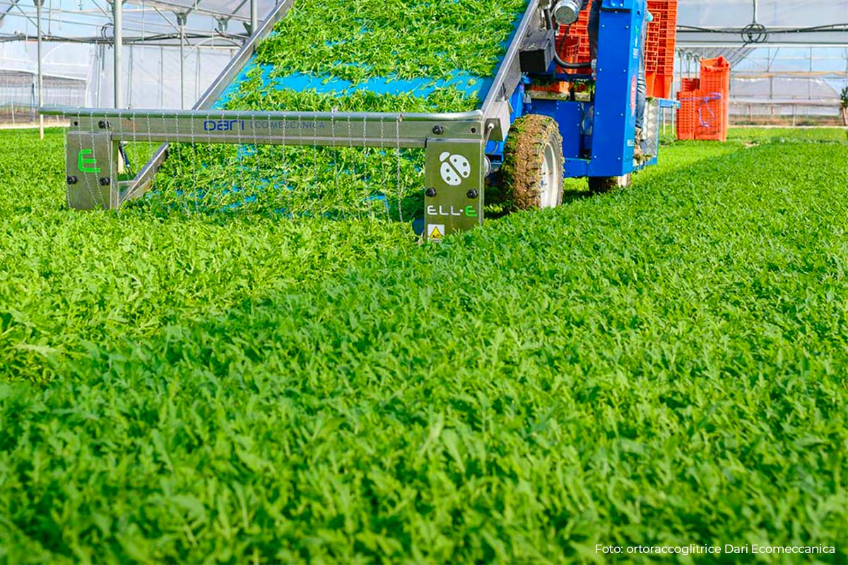 Agricoltura sostenibile: che cos'è e come Altamura OP l'ha realizzata